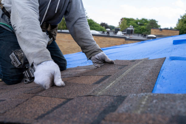 Best New Roof Installation  in Coleraine, MN