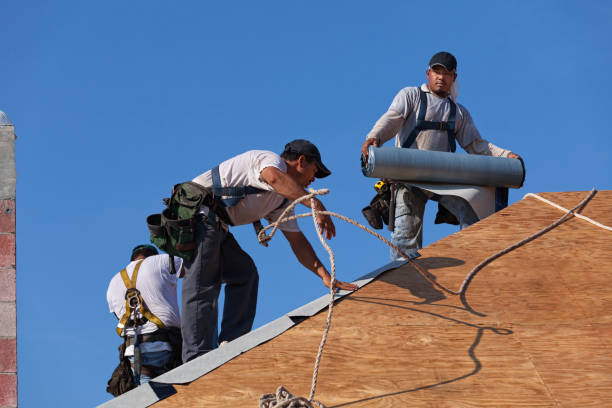 Best Roof Gutter Cleaning  in Coleraine, MN