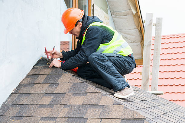 Best Roof Waterproofing Services  in Coleraine, MN