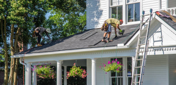 Best Storm Damage Roof Repair  in Coleraine, MN